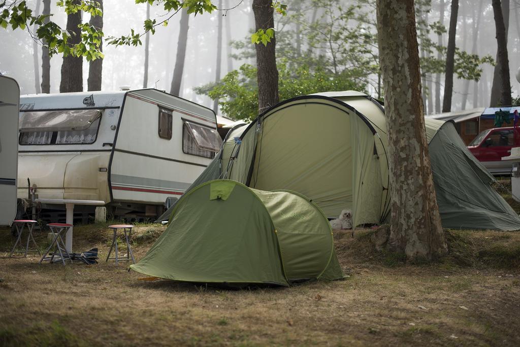 Camping Cachadelos Ξενοδοχείο Sanxenxo Εξωτερικό φωτογραφία
